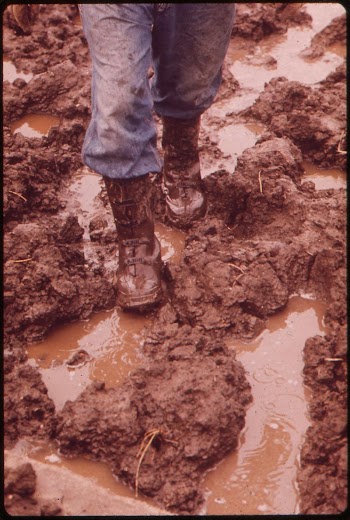 Feet of farmer John Dolezal | Free Photo - rawpixel
