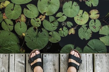 Feet On Dock Above Lily Pads
