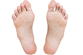 Feet Png (90+ images in Collection) Page 1