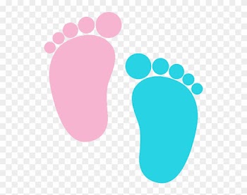 Feetpb - Pink And Blue Baby Feet