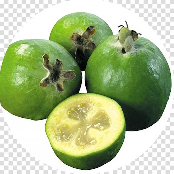 Feijoa Diabetes mellitus Therapy Fruit Diet, vegetable transparent background PNG clipart