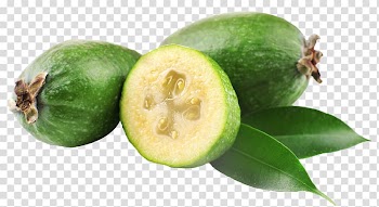 Feijoa Guava Fruit Myrtle Berry, blackcurrant transparent background PNG clipart
