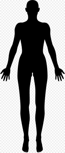Female body shape Human body Silhouette Clip art - female 