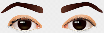 Female Brown Eyes PNG Clip Art - Best WEB Clipart