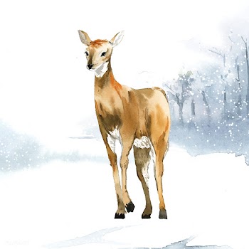 Female deer painted by watercolor vector | Free stock vector - 489533