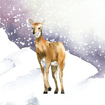 Female deer painted by watercolor vector | Free stock vector - 489640