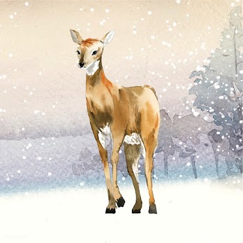 Female deer painted by watercolor vector | Free stock vector - 489654