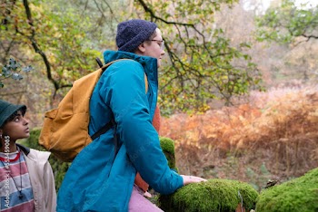 Female friends hiking in forest