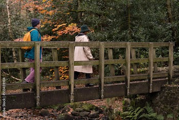 Female friends walking on bridge in forest