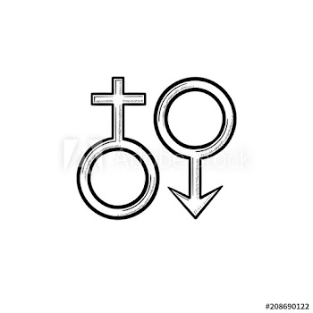 Female male gender symbols hand drawn outline doodle icon
