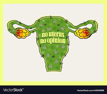 female reproductive system with