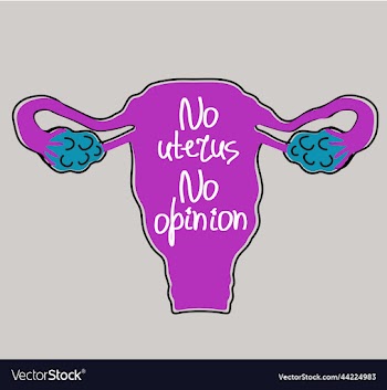 female reproductive system with