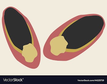 female slippers with pompons