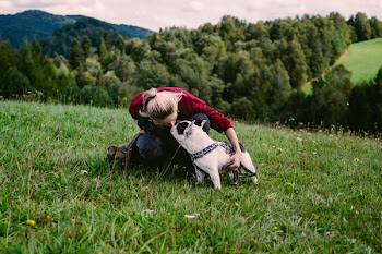 Female tourist with her dog in the mountains