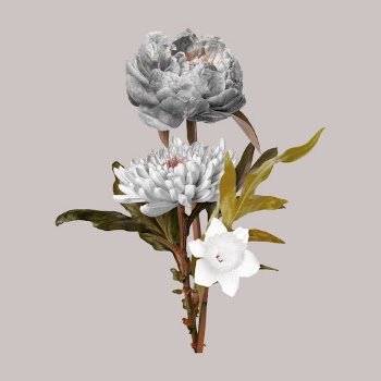 Feminine flower collage element, color | Free PSD - rawpixel