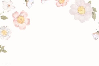 Feminine flowers design space | Free stock illustration - 842531