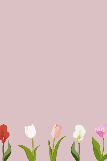 Feminine tulip background, pink flower | Free Photo Illustration - rawpixel