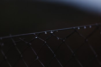 Fence