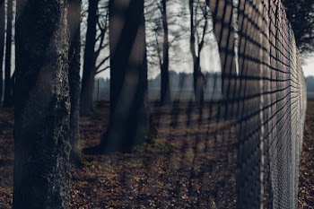 Fence 2