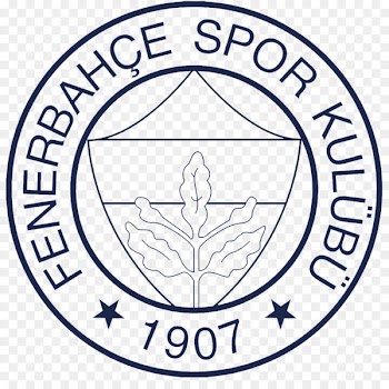 Fenerbahçe S.K. Fenerbahçe Men's Basketball Fenerbahçe Women's Volleyball Süper Lig Football - football 