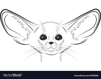 					Fennec fox hand drawn vector image														