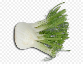 Fennel, Scallion, Italian Cuisine, Plant PNG