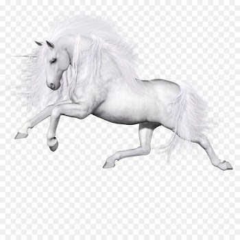 Ferghana horse Unicorn Pegasus - Pegasus 