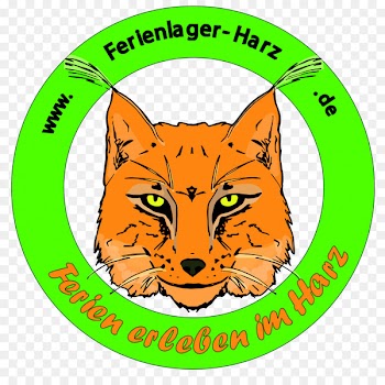 Ferienlager Harz Infinity Surfcamp Sri Lanka Berlin Liquide Facebook Whiskers - adolescents flyer 