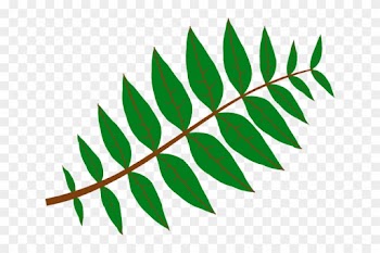 Fern Clipart Daun - Leaf Clip Art