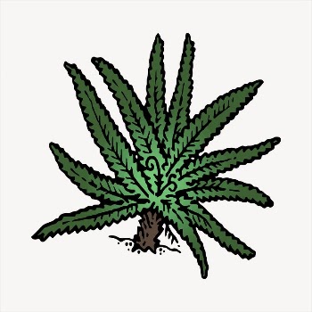 Fern  clipart, vintage hand | Free Vector - rawpixel
