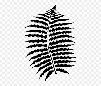 Fern, Forest, Leaf, Nature, Plant, Black, Pattern - Fern, Forest, Leaf, Nature, Plant, Black, Pattern