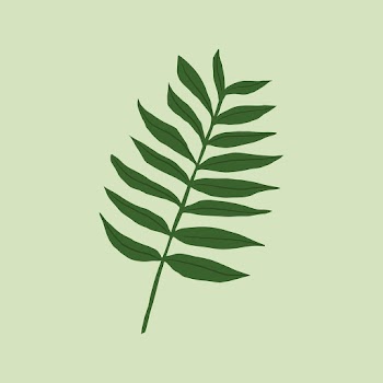 Fern leaf psd botanical illustration | Free stock illustration | High Resolution graphic