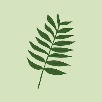 Fern leaf vector plant botanical illustration | Free stock illustration | High Resolution graphic
