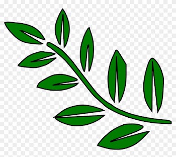 Fern Leaves Green Palm Tree Branches Branch - Tree Branch Clip Art