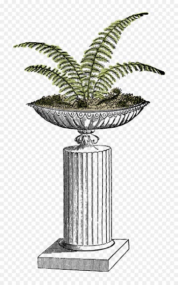 Fern Plant Flowerpot Clip art - fern 