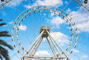 Ferris Wheel 