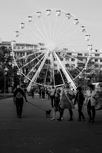 Ferris Wheel 