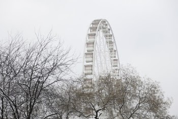 Ferris Wheel