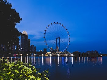 Ferris Wheel Near Body of Water during Nighttime