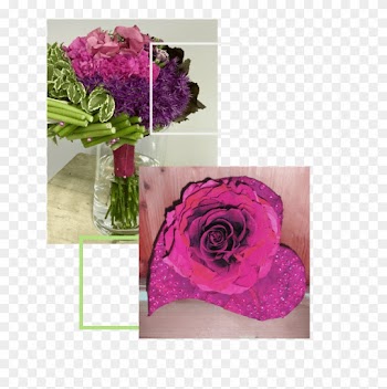 Festa Della Mamma - Garden Roses