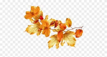 Feuilles D'automne Série - Fall Flower Frame