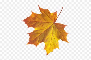 Feuilles D'automne Série - Realistic Leaf Clip Art