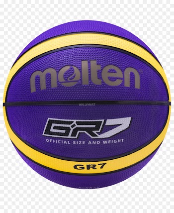 FIBA Basketball World Cup Purdue Boilermakers men's basketball Molten Corporation - basketball 