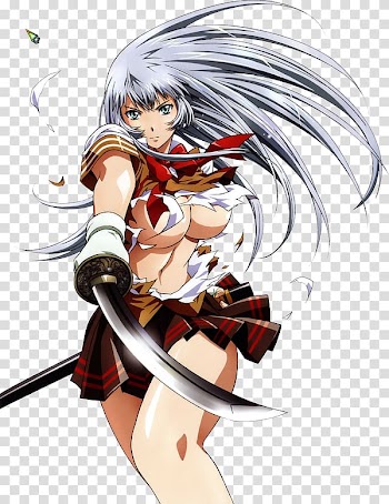 Fiction Black hair Ikki Tousen Character Anime, Anime transparent background PNG clipart