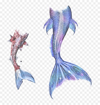 fictional character wing mythical creature dolphin tail