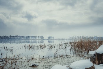 Field Covered With Snow Under White and Gray Skies