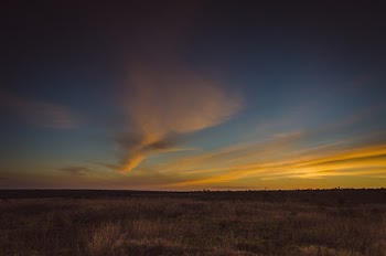 Field During Sunset