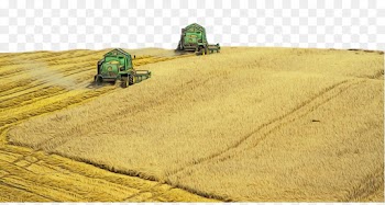 field farm harvest agriculture grass family