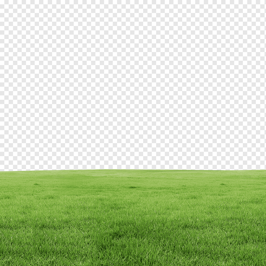 field of grass, Lawn, Grass, landscape, computer Wallpaper, grass png