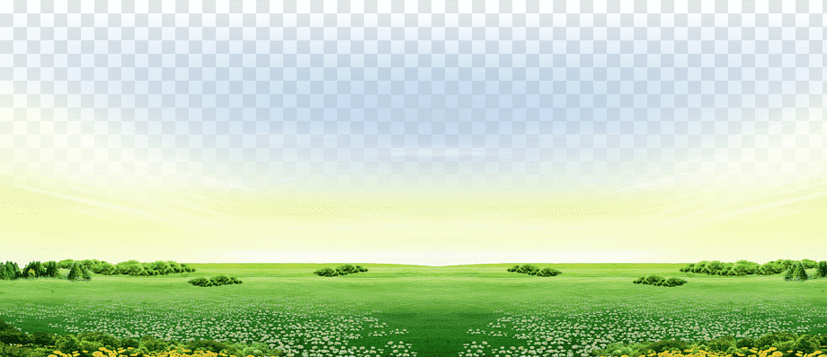 field of green grass, Steppe Grassland Farm Rural area Field, Grass background, atmosphere, cloud, computer png